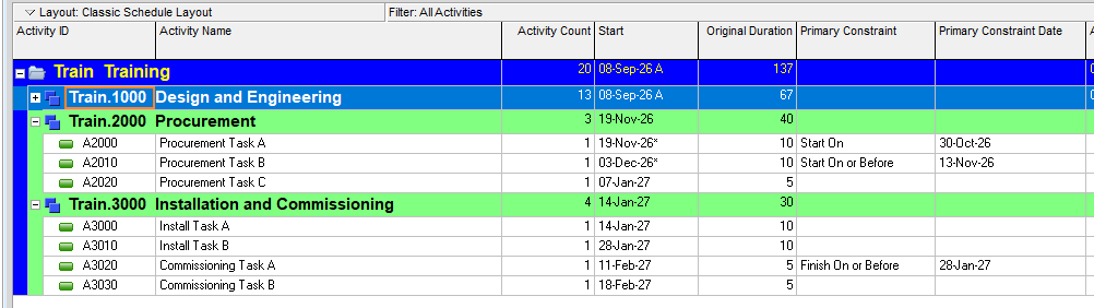 Primavera P6 Activities table filtered to constrained activities, showing Constraint Type and Constraint Date columns for several activities.